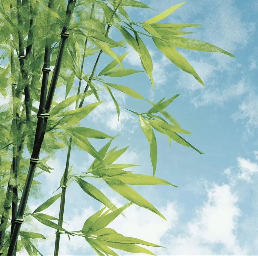 检察官室的提案