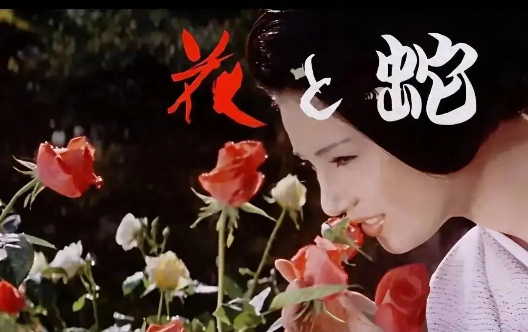 《花与蛇3:白衣绳奴》相关资源图片