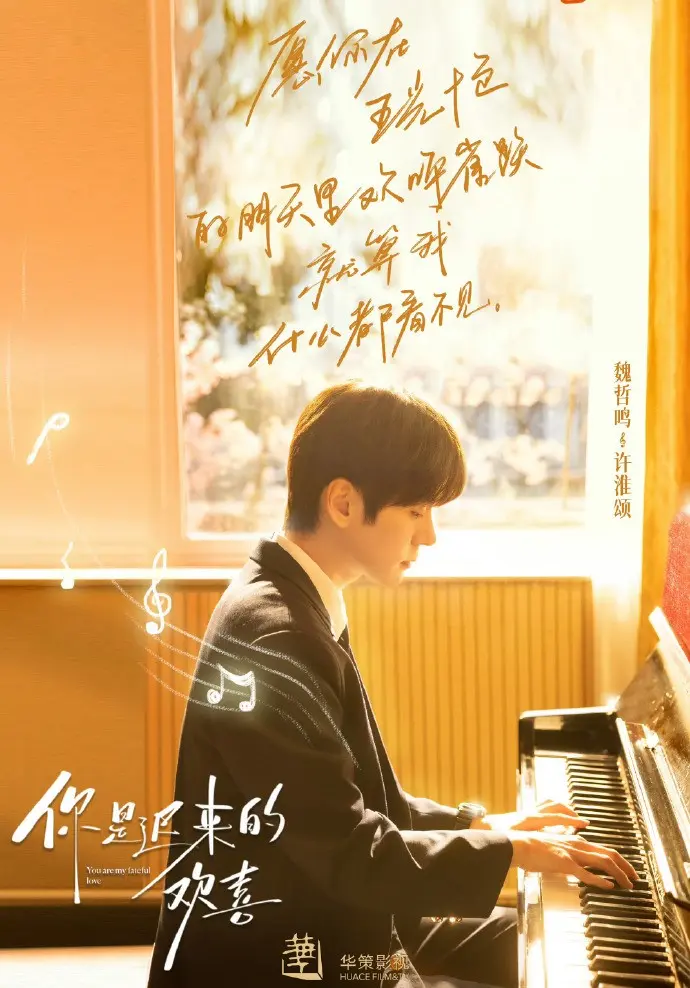电视剧《你是迟来的欢喜》全集免费在线观看 2026魏哲鸣主演高清版 - VS影院《你是迟来的欢喜》无广告播放