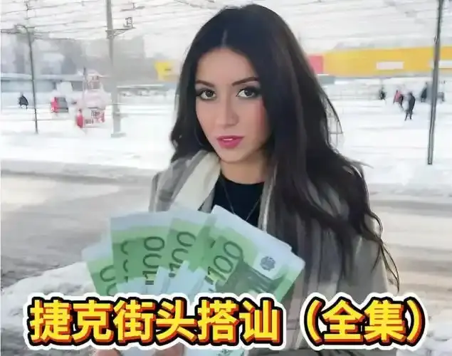 1080P无删减《捷克街头系列》-300集中字完整版-《捷克街头钞能力》免费在线观看HD4K超清
