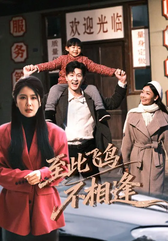 《至此飞鸟不相逢》全70集完整版-丁海霞王鹏主演短剧-4K超清无删减资源下载