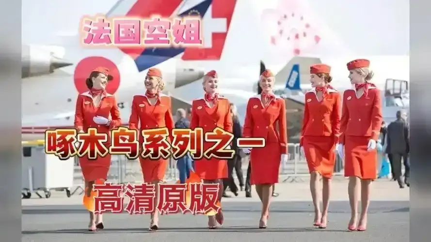 《法国空姐》1080P高清画质播放！《法国空姐》超越头等舱标准，呈现法式感官盛宴，感受万米高空浪漫冒险！