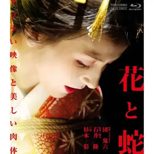《花与蛇》相关资源图片