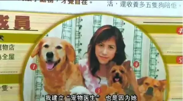 欧美电影《女人与狗》免费观看 中字全集 正片未删减版高清播放-欧美大片《女人与狗》1080P超清流畅观影-网盘资源下载无广告