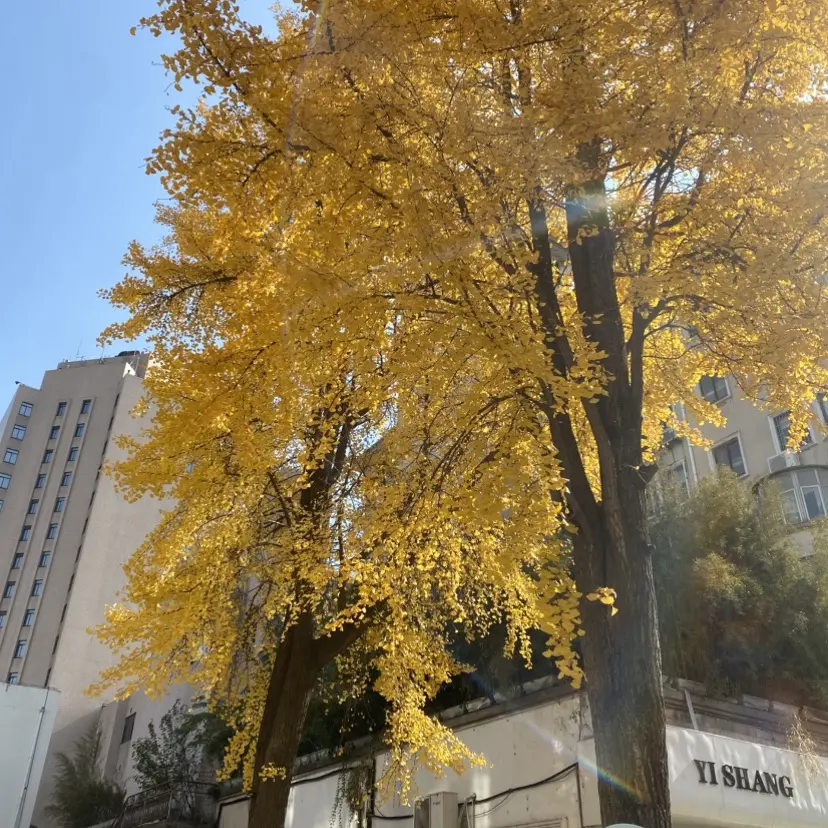 《今泉家》全季免费在线观看_高清无删减1080P_今泉家全集网盘资源_全网动漫辣妹聚会所！普通家庭化身潮流基地